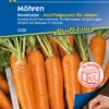 KIEPENKERL Möhrensamen „Nominator“
