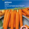 KIEPENKERL Möhrensamen „Flyaway F1“ 1 KIEPENKERL Möhrensamen „Flyaway F1“ -Blumen Risse Verkaufsladen 3018 VS 800x800