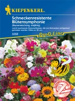 KIEPENKERL Schneckenresistente Blütensymphoniesamen 5 KIEPENKERL Schneckenresistente Blütensymphoniesamen – Bild 3