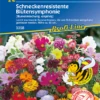 KIEPENKERL Schneckenresistente Blütensymphoniesamen 2 KIEPENKERL Schneckenresistente Blütensymphoniesamen -Blumen Risse Verkaufsladen 3358 VS 800x800