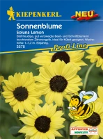 KIEPENKERL Sonnenblumensamen „Soluna Lemon“ 5 KIEPENKERL Sonnenblumensamen „Soluna Lemon“ – Bild 3