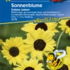 KIEPENKERL Sonnenblumensamen „Soluna Lemon“ -Blumen Risse Verkaufsladen 3578 VS 800x800