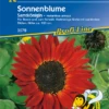 KIEPENKERL Sonnenblumensamen „Samtkönigin“ 1 KIEPENKERL Sonnenblumensamen „Samtkönigin“ -Blumen Risse Verkaufsladen 3579 VS 800x800