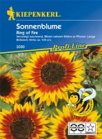 KIEPENKERL Sonnenblumensamen „Ring Of Fire“ 5 KIEPENKERL Sonnenblumensamen „Ring Of Fire“ – Bild 3