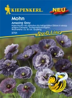 KIEPENKERL Klatsch-Mohnsamen „Amazing Grey“ 4 KIEPENKERL Klatsch-Mohnsamen „Amazing Grey“ – Bild 2