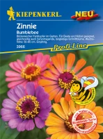 KIEPENKERL Zinniensamen „Bumblebee“ 5 KIEPENKERL Zinniensamen „Bumblebee“ – Bild 3