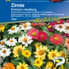 KIEPENKERL Haage-Zinniensamen „Profusion“ 2 KIEPENKERL Haage-Zinniensamen „Profusion“ -Blumen Risse Verkaufsladen 3984 VS 800x800