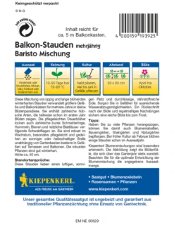 KIEPENKERL Balkonstaudensamen „Baristo“ -Blumen Risse Verkaufsladen 4392 RS 800x800