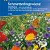 KIEPENKERL Schmetterlingsweide Samen 2 KIEPENKERL Schmetterlingsweide Samen -Blumen Risse Verkaufsladen 4593 VS 800x800