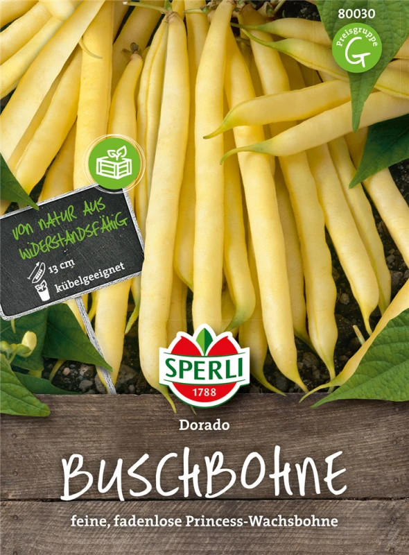 SPERLI Buschbohnensamen „Dorado“ 3 SPERLI Buschbohnensamen „Dorado“