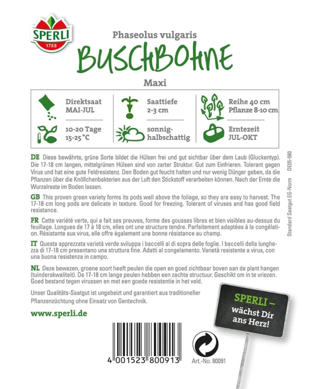 SPERLI Buschbohnensamen „Maxi“ 4 SPERLI Buschbohnensamen „Maxi“ – Bild 2