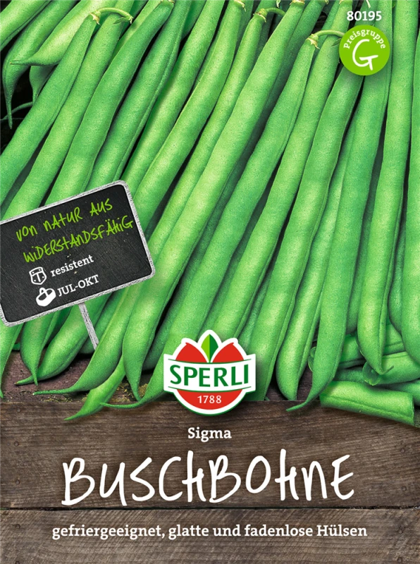 SPERLI Buschbohnensamen „Sigma“ 3 SPERLI Buschbohnensamen „Sigma“