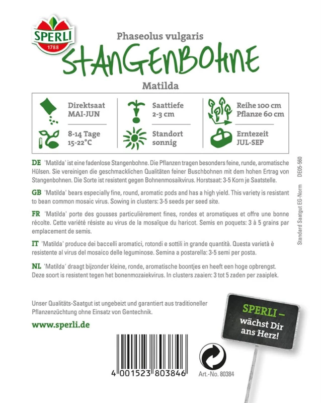 SPERLI Stangenbohnen Samen „Matilda“ 4 SPERLI Stangenbohnen Samen „Matilda“ – Bild 2