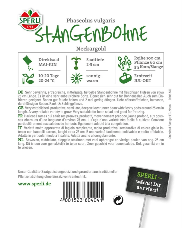 SPERLI Stangenbohnen Samen „Neckargold“ 4 SPERLI Stangenbohnen Samen „Neckargold“ – Bild 2