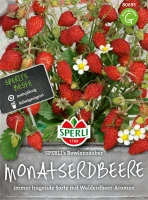 SPERLI Monatserdbeere Samen „Bowlenzauber“ 5 SPERLI Monatserdbeere Samen „Bowlenzauber“ – Bild 3
