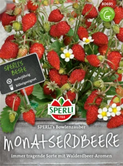 SPERLI Monatserdbeere Samen „Bowlenzauber“