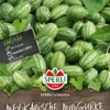 SPERLI Mexikanische Minigurkensamen „Sandia“