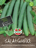 SPERLI Gurkensamen „Burpless Tasty Green F1“ 6 SPERLI Gurkensamen „Burpless Tasty Green F1“ – Bild 4