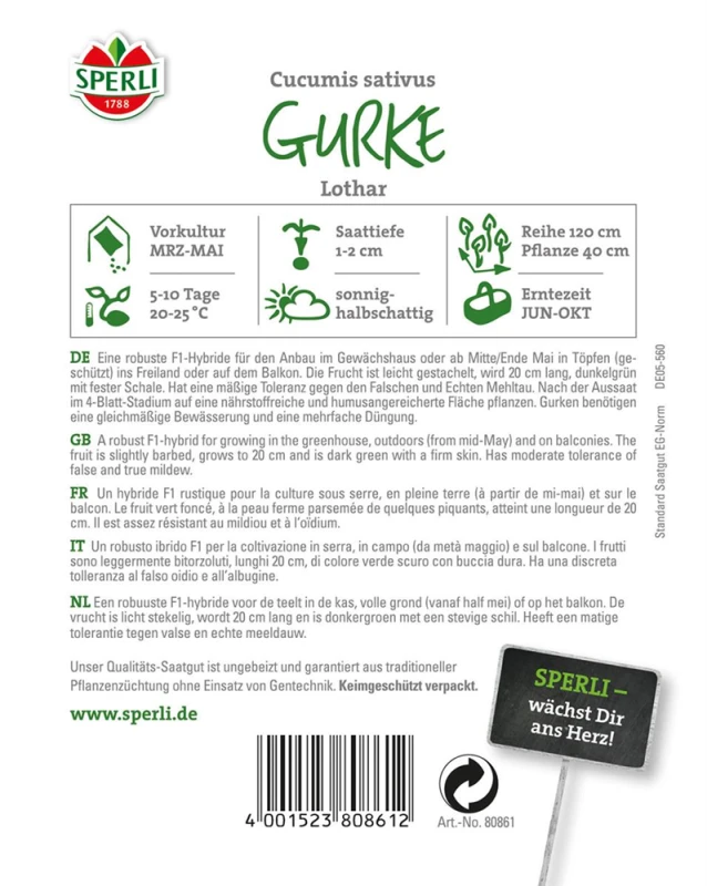 SPERLI Salatgurkensamen „Lothar F1“ 4 SPERLI Salatgurkensamen „Lothar F1“ – Bild 2
