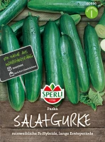 SPERLI Salatgurkensamen „Paska“ 5 SPERLI Salatgurkensamen „Paska“ – Bild 3