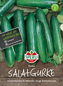 SPERLI Salatgurkensamen „Paska“