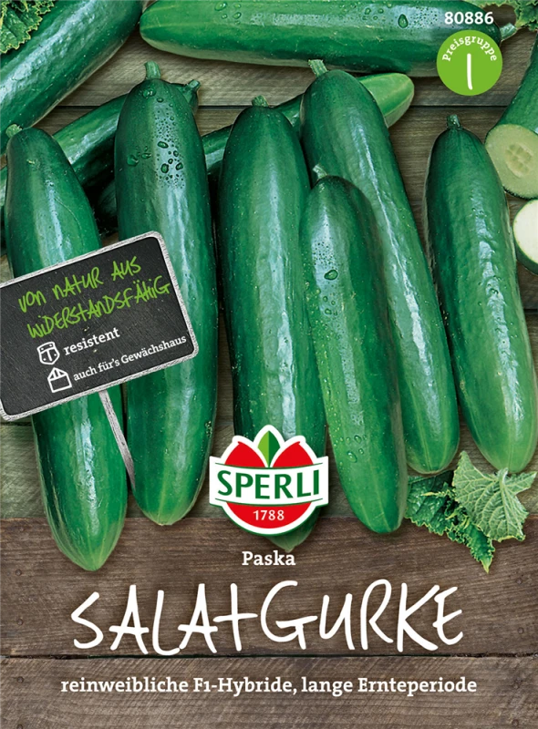 SPERLI Salatgurkensamen „Paska“ 3 SPERLI Salatgurkensamen „Paska“