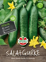 SPERLI Gurkensamen „Silor F1“ 5 SPERLI Gurkensamen „Silor F1“ – Bild 3