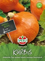 SPERLI Kürbissamen „Uchiki Kuri“ 6 SPERLI Kürbissamen „Uchiki Kuri“ – Bild 4