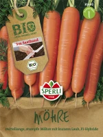 SPERLI Möhrensamen „Yaya“ 5 SPERLI Möhrensamen „Yaya“ – Bild 3