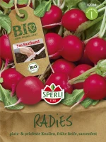 SPERLI Radieschensamen „Rudolf“ 5 SPERLI Radieschensamen „Rudolf“ – Bild 3