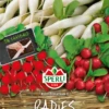 SPERLI Radieschensamen Kombination „Parat, Eiszapfen, Topsi“