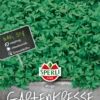 SPERLI Großblättrige Gartenkressesamen „Mega“ 2 SPERLI Großblättrige Gartenkressesamen „Mega“ -Blumen Risse Verkaufsladen 84120 VS 800x800