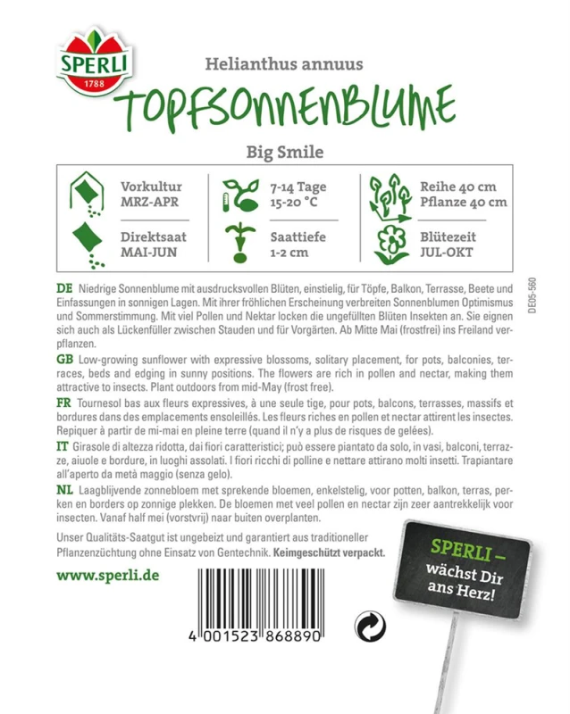 SPERLI Sonnenblumensamen „Big Smile“ 4 SPERLI Sonnenblumensamen „Big Smile“ – Bild 2