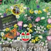 SPERLI Schmetterlingsweide Samen 1 SPERLI Schmetterlingsweide Samen -Blumen Risse Verkaufsladen 87826 VS 800x800