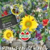 SPERLI Bienenweidesamen 1 SPERLI Bienenweidesamen -Blumen Risse Verkaufsladen 88030 VS 800x800