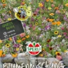 SPERLI Blumenmischnung „Späte Blütenpracht“ 1 SPERLI Blumenmischnung „Späte Blütenpracht“ -Blumen Risse Verkaufsladen 88038 VS 800x800