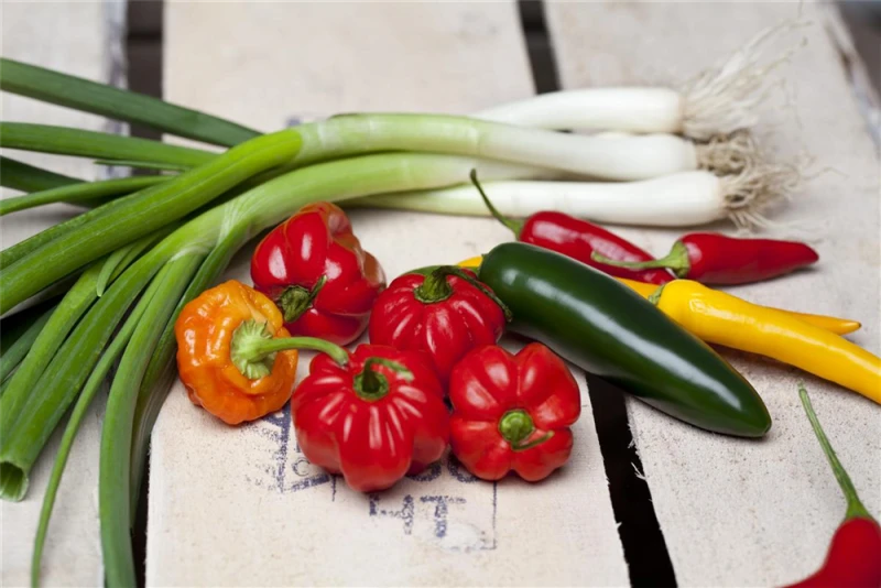 QUEDLINBURGER Peperonisamen 9 QUEDLINBURGER Peperonisamen – Bild 7