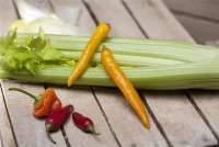 QUEDLINBURGER Peperonisamen 17 QUEDLINBURGER Peperonisamen – Bild 15