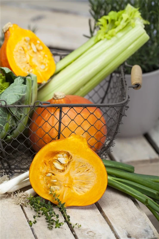 QUEDLINBURGER Kürbissamen 11 QUEDLINBURGER Kürbissamen – Bild 9