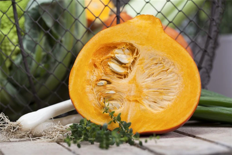 QUEDLINBURGER Kürbissamen 9 QUEDLINBURGER Kürbissamen – Bild 7