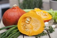 QUEDLINBURGER Kürbissamen 19 QUEDLINBURGER Kürbissamen – Bild 17