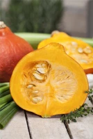 QUEDLINBURGER Kürbissamen 18 QUEDLINBURGER Kürbissamen – Bild 16