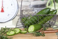 SPERLI Gurkensamen 19 SPERLI Gurkensamen – Bild 17