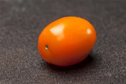 QUEDLINBURGER Cherry-Tomate-Samen -Blumen Risse Verkaufsladen GS457971 800x800