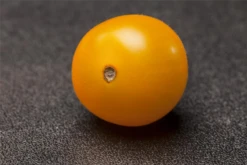 QUEDLINBURGER Cherry-Tomate-Samen -Blumen Risse Verkaufsladen GS457972 800x800