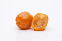 QUEDLINBURGER Cherry-Tomate-Samen -Blumen Risse Verkaufsladen GS458010 800x800