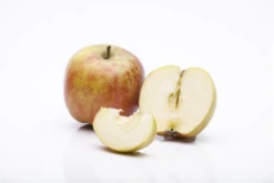 Herbstapfel „Holsteiner Cox“ -Blumen Risse Verkaufsladen GS458015 800x800