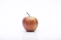 Herbstapfel „Rubinette®“ 11 Herbstapfel „Rubinette®“ – Bild 9