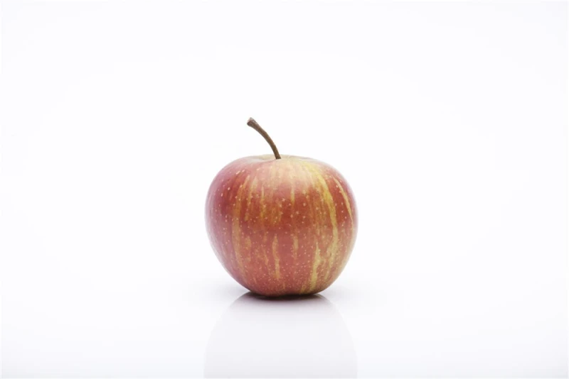 Herbstapfel „Rubinette®“ 6 Herbstapfel „Rubinette®“ – Bild 4