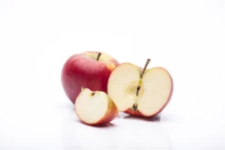 Winterapfel „Topaz(s)“ 24 Winterapfel „Topaz(s)“ -Blumen Risse Verkaufsladen GS458026 800x800